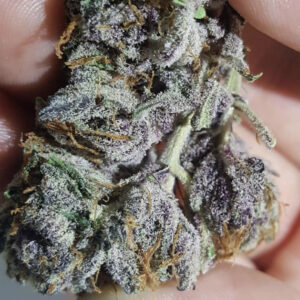 Buy Alien OG Cannabis online Cork, Weed for sale Dublin, Order marijuana hybrid near me Galway, weeds for sale Waterford,Drogheda,Letterkenny